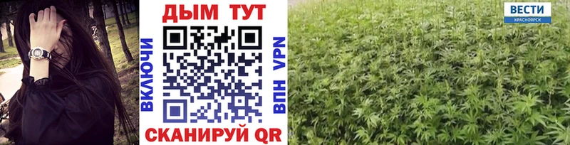 Какие есть наркотики Луза Псилоцибиновые грибы  Амфетамин  ГАШИШ  A PVP 